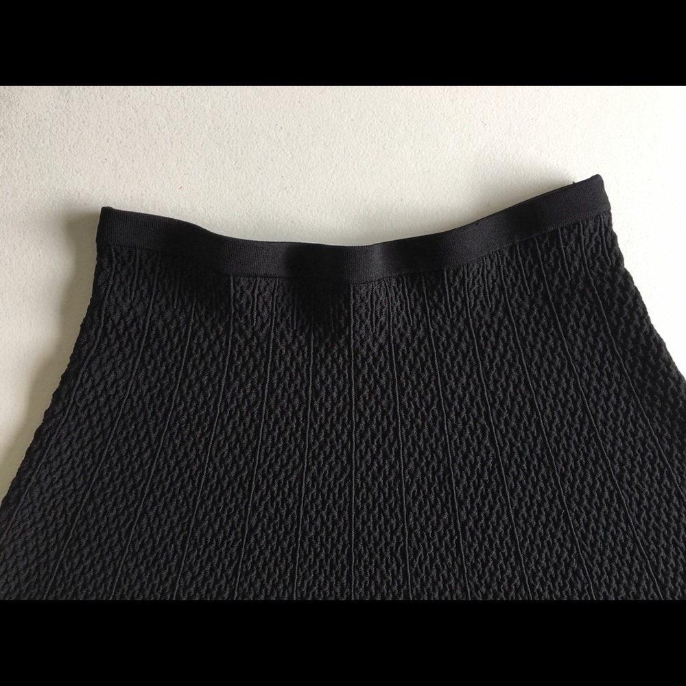 🌷CAbi🌷 Black Skirt A -line